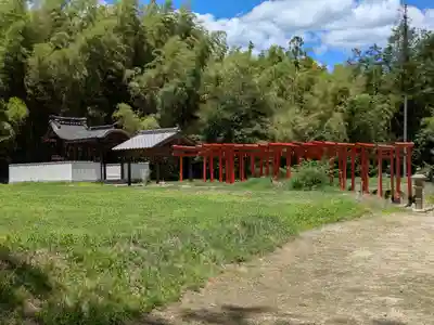 走田神社(京都府)