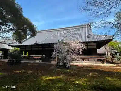 青蓮院門跡(京都府)