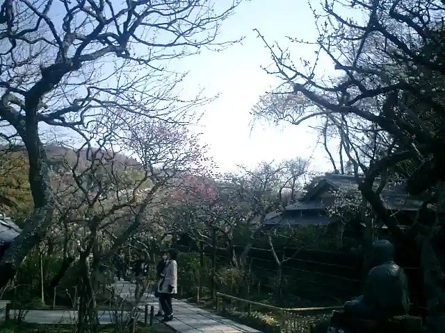 東慶寺の自然