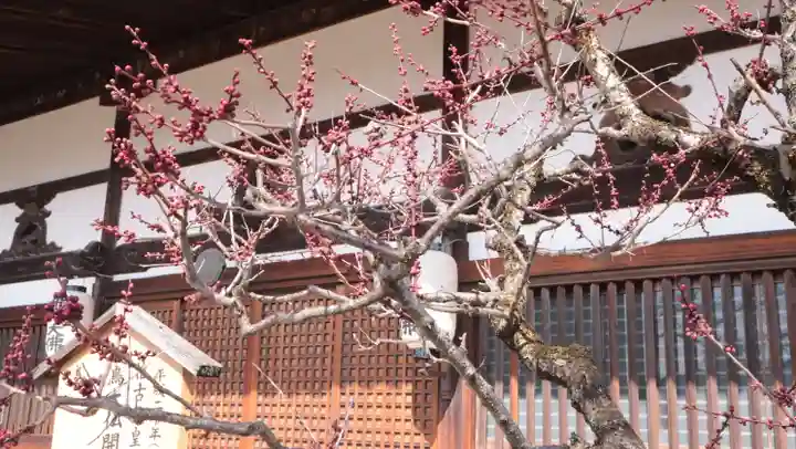 飛鳥寺(奈良県)