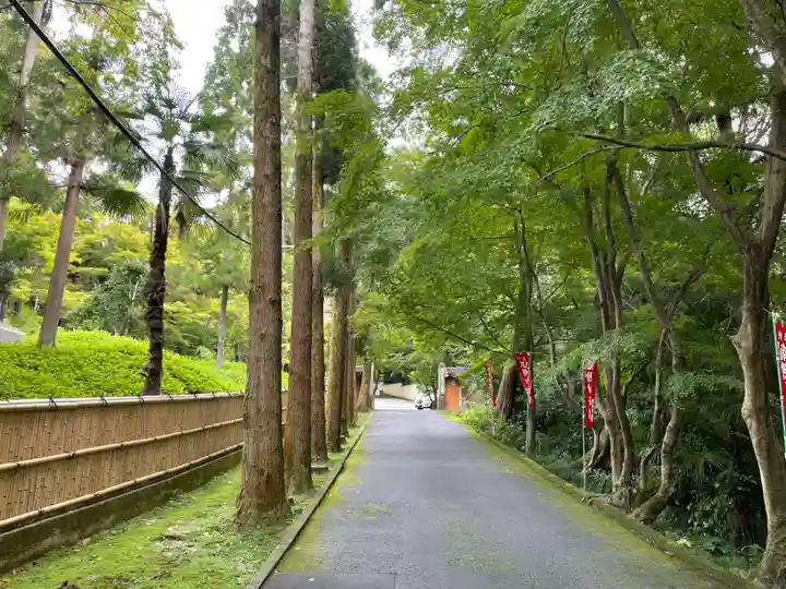 今熊野観音寺(京都府)