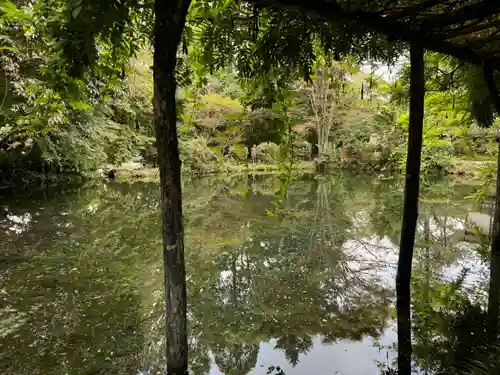 富士山本宮浅間大社(静岡県)