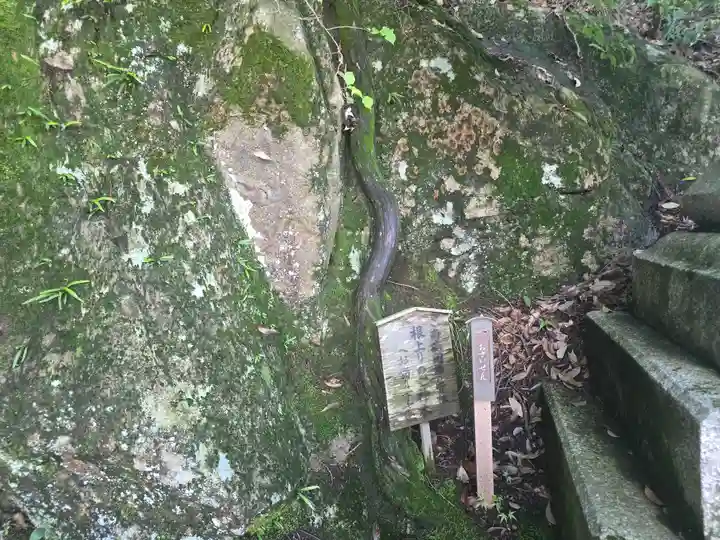 阿賀神社(滋賀県)