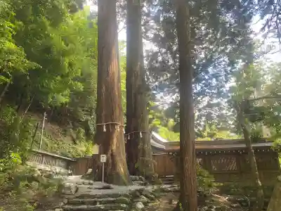 丹生川上神社(中社)(奈良県)