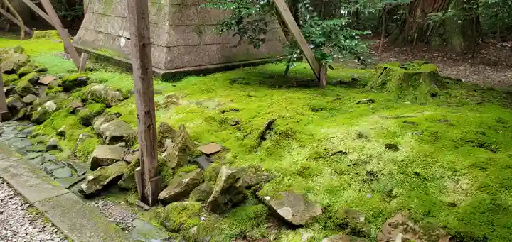 彌彦神社の自然