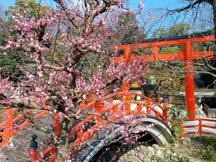 賀茂御祖神社(下鴨神社)の自然