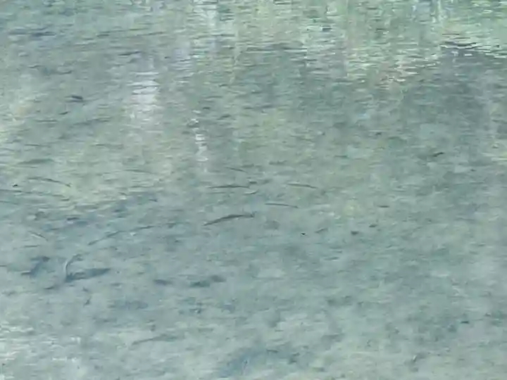 横山不動尊の庭園