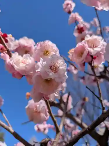瑞円寺(東京都)