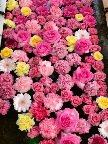 津島神社の手水舎