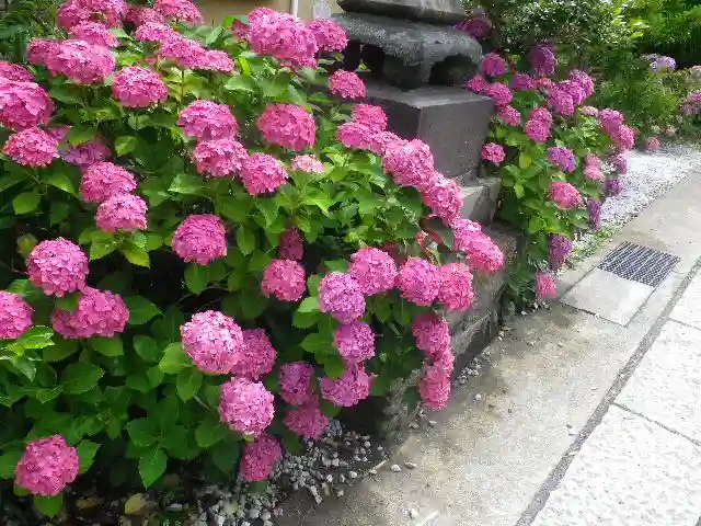 五所神社の自然