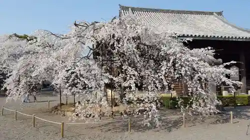 道成寺の庭園