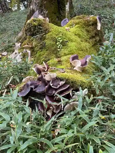 劔山本宮宝蔵石神社(徳島県)