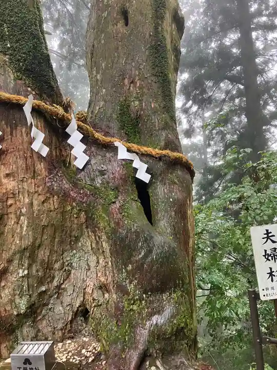 玉置神社(奈良県)