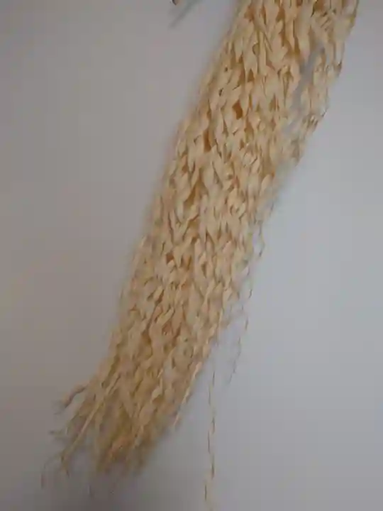 入間川大国神社(埼玉県)