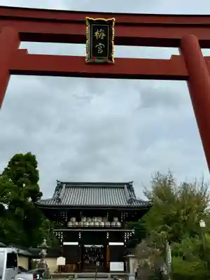 梅宮大社(京都府)