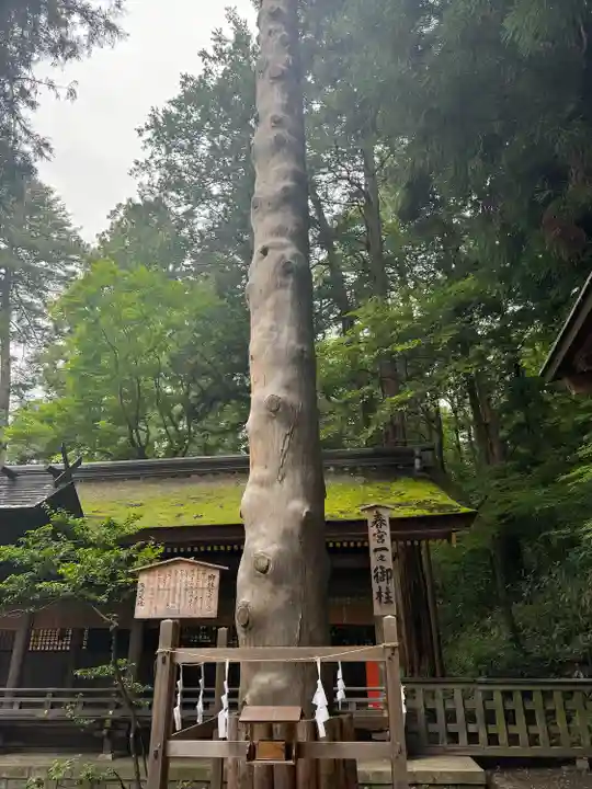 諏訪大社下社春宮(長野県)