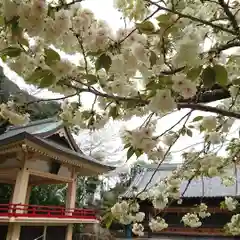 上地八幡宮の自然