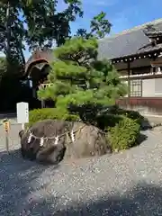 砥鹿神社（里宮）(愛知県)