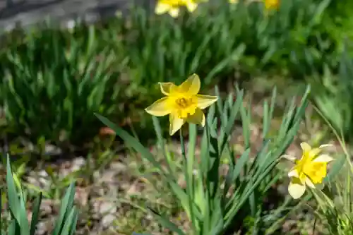 水神(長野県)