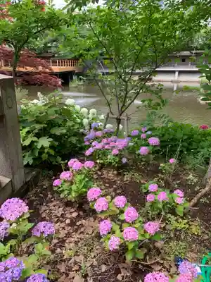 生田神社(兵庫県)