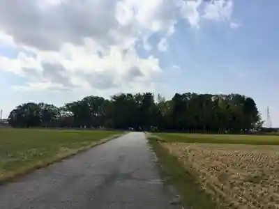 犬ヶ坪神明社の周辺