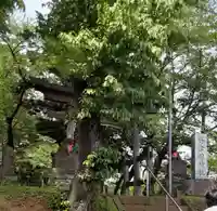野津田神社(東京都)