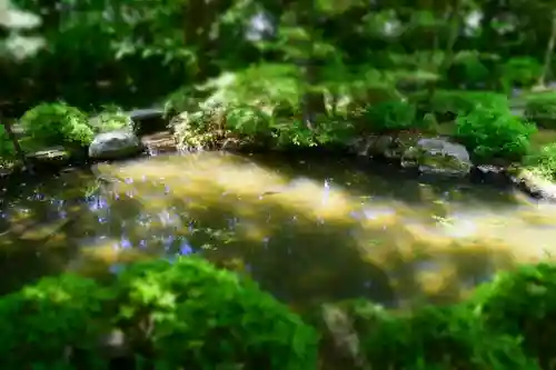 平安神宮の庭園