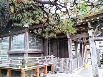 三嶋神社の御朱印 2026年04月