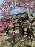 陽林寺(福島県)