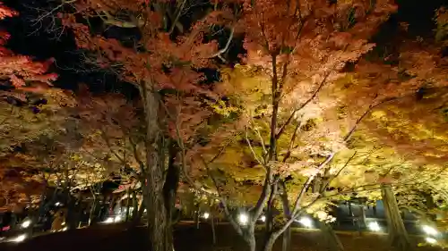 東福禅寺（東福寺）の{uncategorized: "未分類", other: "その他", undefined: "問題あり", building: "その他建物", grave: "お墓", sacred_gate: "鳥居", guardian: "狛犬", statue: "像", buddha: "仏像", history: "歴史", nature: "自然", garden: "庭園", animal: "動物", pagoda: "塔", temizu: "手水舎", mountain_gate: "山門・神門", sanctuary: "本殿・本堂", subordinate: "末社・摂社", art: "芸術", scenery: "景色", jizo: "地蔵", ema: "絵馬", goshuin: "御朱印", omikuji: "おみくじ", items: "授与品その他", amulet: "お守り", goshuincho: "御朱印帳", eats: "食事", festival: "お祭り", votive_dance: "神楽", shichigosan: "七五三参", wedding: "結婚式", experience: "体験その他", initially: "初詣", around: "周辺", anti_infection: "感染症対策"}