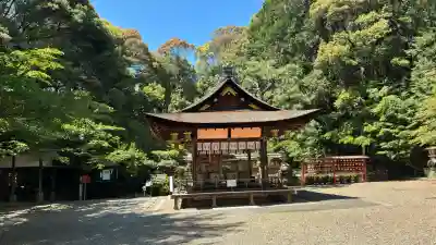 水度神社の{uncategorized: "未分類", other: "その他", undefined: "問題あり", building: "その他建物", grave: "お墓", sacred_gate: "鳥居", guardian: "狛犬", statue: "像", buddha: "仏像", history: "歴史", nature: "自然", garden: "庭園", animal: "動物", pagoda: "塔", temizu: "手水舎", mountain_gate: "山門・神門", sanctuary: "本殿・本堂", subordinate: "末社・摂社", art: "芸術", scenery: "景色", jizo: "地蔵", ema: "絵馬", goshuin: "御朱印", omikuji: "おみくじ", items: "授与品その他", amulet: "お守り", goshuincho: "御朱印帳", eats: "食事", festival: "お祭り", votive_dance: "神楽", shichigosan: "七五三参", wedding: "結婚式", experience: "体験その他", initially: "初詣", around: "周辺", anti_infection: "感染症対策"}