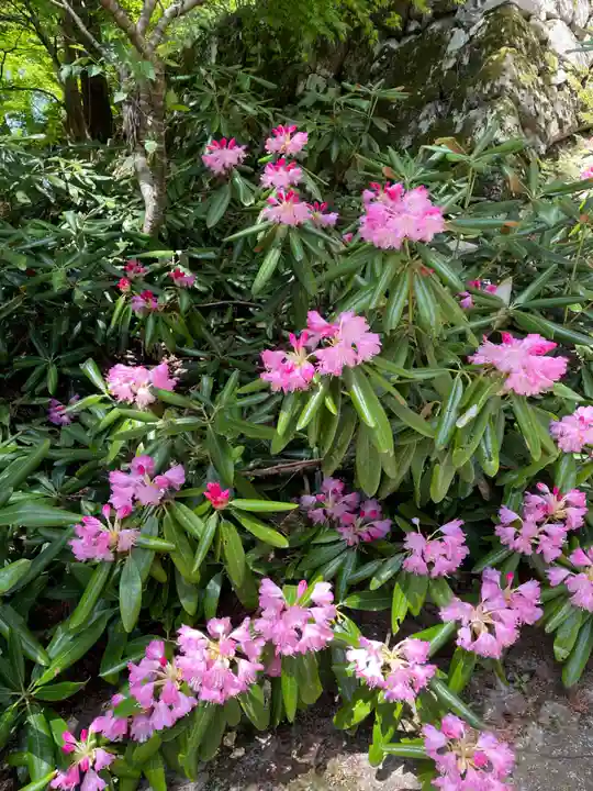 成相寺(京都府)