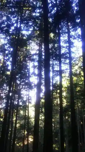 鳴滝不動の周辺