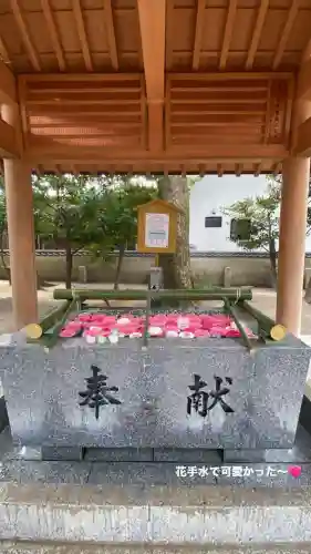 現人神社の{uncategorized: "未分類", other: "その他", undefined: "問題あり", building: "その他建物", grave: "お墓", sacred_gate: "鳥居", guardian: "狛犬", statue: "像", buddha: "仏像", history: "歴史", nature: "自然", garden: "庭園", animal: "動物", pagoda: "塔", temizu: "手水舎", mountain_gate: "山門・神門", sanctuary: "本殿・本堂", subordinate: "末社・摂社", art: "芸術", scenery: "景色", jizo: "地蔵", ema: "絵馬", goshuin: "御朱印", omikuji: "おみくじ", items: "授与品その他", amulet: "お守り", goshuincho: "御朱印帳", eats: "食事", festival: "お祭り", votive_dance: "神楽", shichigosan: "七五三参", wedding: "結婚式", experience: "体験その他", initially: "初詣", around: "周辺", anti_infection: "感染症対策"}