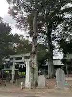 胸形神社(栃木県)