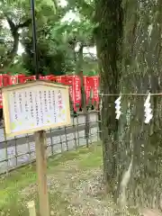 大垣八幡神社の歴史