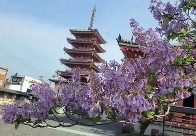 津観音(三重県)