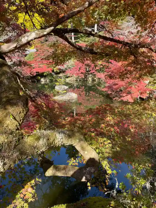 醍醐寺(京都府)