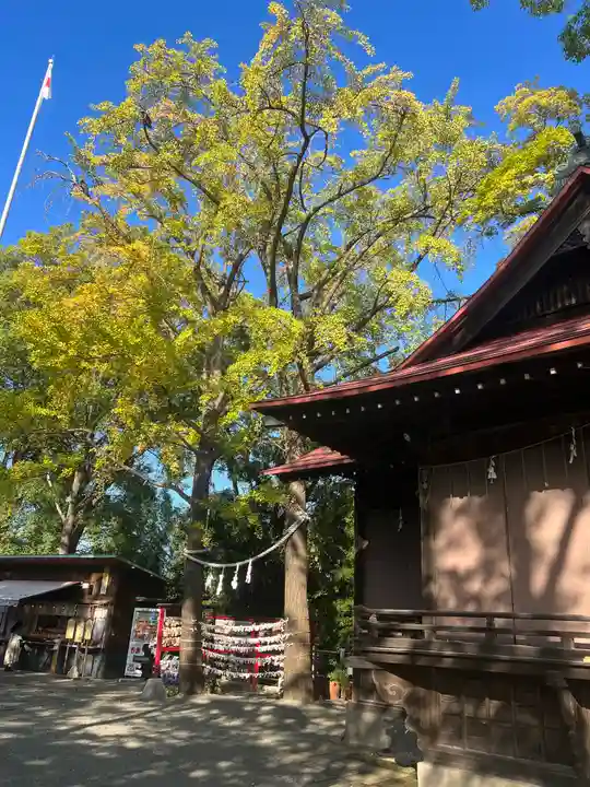 多摩川浅間神社(東京都)
