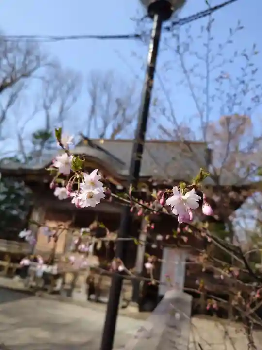 相馬神社(北海道)
