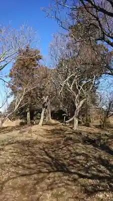 天満神社のその他建物