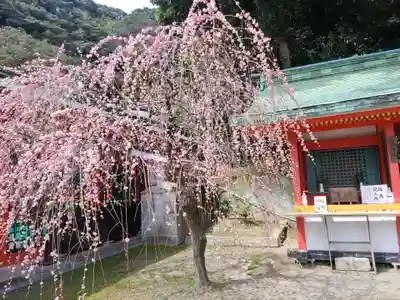 赤間神宮(山口県)
