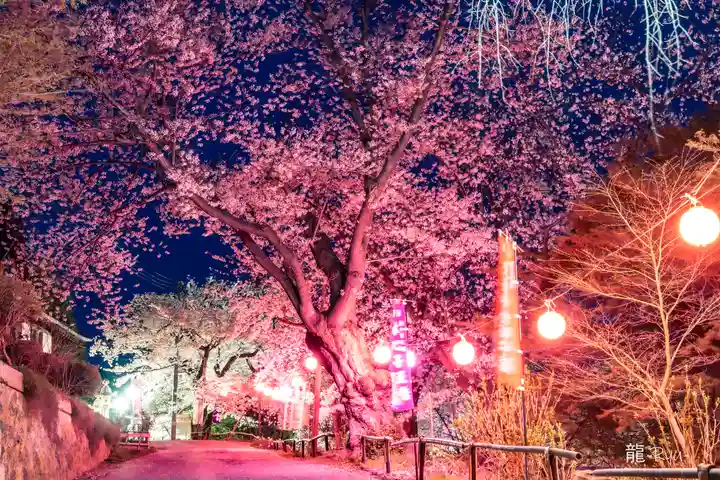 烏帽子山八幡宮(山形県)