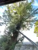 法因寺(三重県)