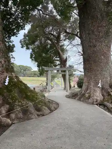 溝口竃門神社の{uncategorized: "未分類", other: "その他", undefined: "問題あり", building: "その他建物", grave: "お墓", sacred_gate: "鳥居", guardian: "狛犬", statue: "像", buddha: "仏像", history: "歴史", nature: "自然", garden: "庭園", animal: "動物", pagoda: "塔", temizu: "手水舎", mountain_gate: "山門・神門", sanctuary: "本殿・本堂", subordinate: "末社・摂社", art: "芸術", scenery: "景色", jizo: "地蔵", ema: "絵馬", goshuin: "御朱印", omikuji: "おみくじ", items: "授与品その他", amulet: "お守り", goshuincho: "御朱印帳", eats: "食事", festival: "お祭り", votive_dance: "神楽", shichigosan: "七五三参", wedding: "結婚式", experience: "体験その他", initially: "初詣", around: "周辺", anti_infection: "感染症対策"}