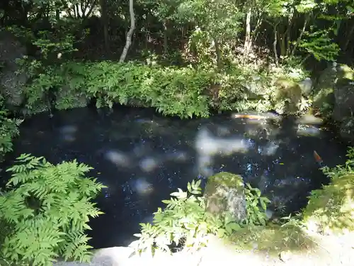 駒形神社（箱根神社摂社）の庭園