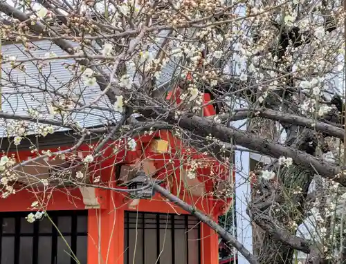花園神社の自然