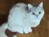 ひーさんのプロフィール画像