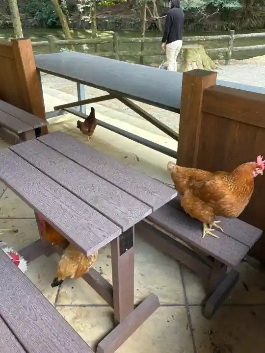 石上神宮の{uncategorized: "未分類", other: "その他", undefined: "問題あり", building: "その他建物", grave: "お墓", sacred_gate: "鳥居", guardian: "狛犬", statue: "像", buddha: "仏像", history: "歴史", nature: "自然", garden: "庭園", animal: "動物", pagoda: "塔", temizu: "手水舎", mountain_gate: "山門・神門", sanctuary: "本殿・本堂", subordinate: "末社・摂社", art: "芸術", scenery: "景色", jizo: "地蔵", ema: "絵馬", goshuin: "御朱印", omikuji: "おみくじ", items: "授与品その他", amulet: "お守り", goshuincho: "御朱印帳", eats: "食事", festival: "お祭り", votive_dance: "神楽", shichigosan: "七五三参", wedding: "結婚式", experience: "体験その他", initially: "初詣", around: "周辺", anti_infection: "感染症対策"}