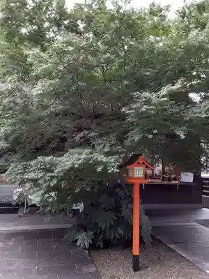 猿田彦神社の自然